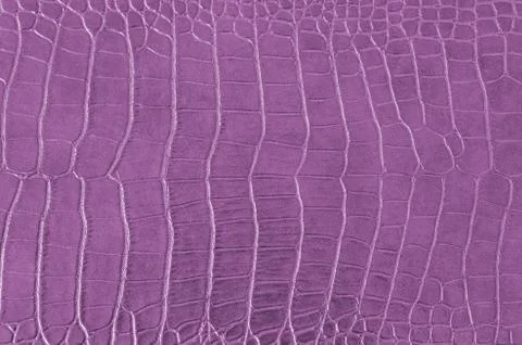 Crocodile background Foto stock