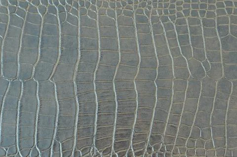 Crocodile background Stock Photos