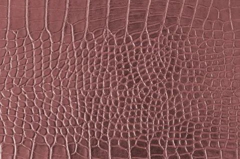 Crocodile background Stock Photos