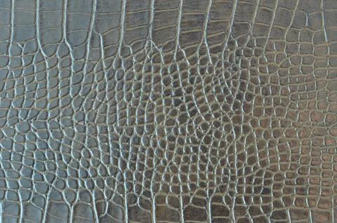 Crocodile background Stock Photos