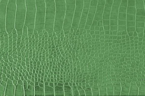 Crocodile background Foto stock