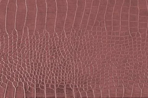 Crocodile background Foto stock