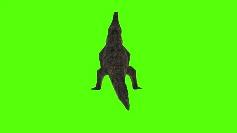 Crocodile Bite Green Screen Animation 4k Rendering Stock Footage 296980087