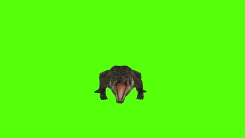 Crocodile Bite Low Green Screen Animation 4k Rendering Stock Footage 296980131