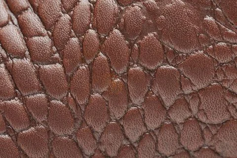 Crocodile brown leather texture pattern Stock Photos