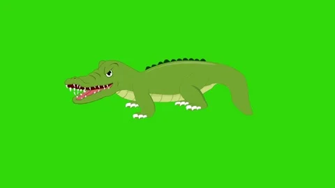 Crocodile Cartoon animation Video stock 323001591