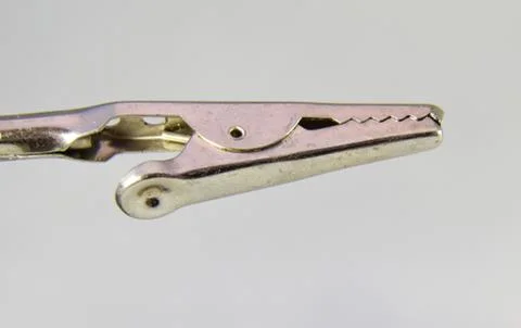 Crocodile Clip Stock Photos