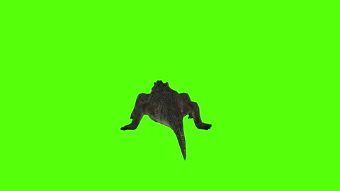 Crocodile Death Green Screen Animation 4k Rendering Stock Footage 296980150