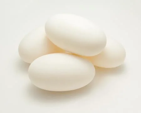 Crocodile eggs Фото