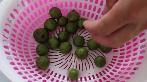 Crocodile fruit basket Stock Footage 64578860