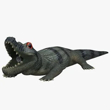 Crocodile Games 3D Model