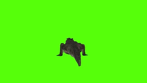 Crocodile Getting Hit Green Screen Animation 4k Rendering Stock Footage 296980186