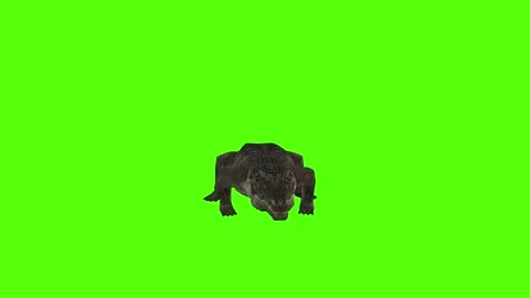 Crocodile Idle Green Screen Animation 4k Rendering Stock Footage 296980209