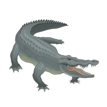 Crocodile Stock-Illustration