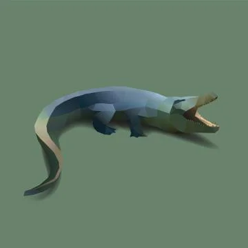 Crocodile Stock Illustration