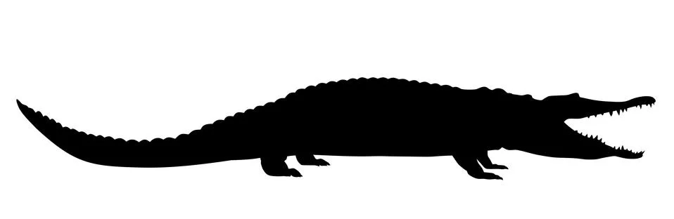 Crocodile Stock Illustration