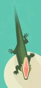 Crocodile Stock Illustration
