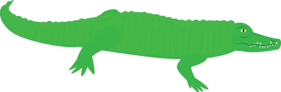 Crocodile Stock Illustration