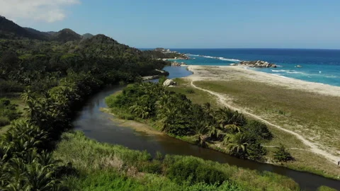 Crocodile lagoon - side pan ascend - Drone Tayrona Colombia 스톡 동영상 140151282
