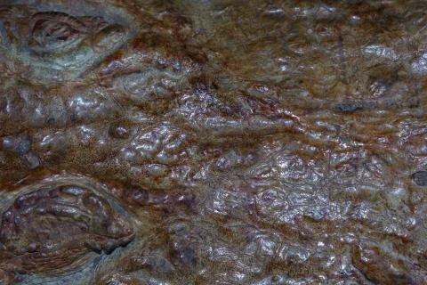 Crocodile leather for a background image. Foto stock