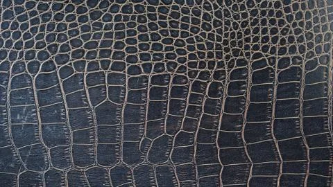 Crocodile leather as a background. 스톡 사진