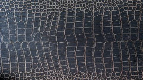 Crocodile leather as a background. Foto stock