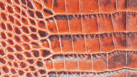 Crocodile leather brown background, python texture	 Stock Footage 110728707