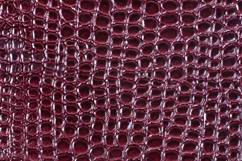 Crocodile leather Stock Photos
