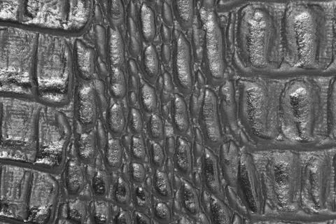 Crocodile leather Stock-Fotos
