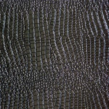 Crocodile leather Stock Photos