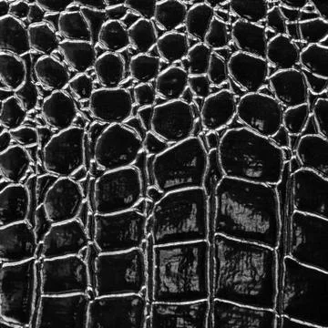 Crocodile leather Stock Photos