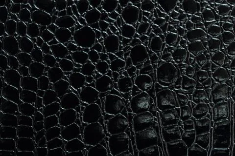 Crocodile leather Stock Photos