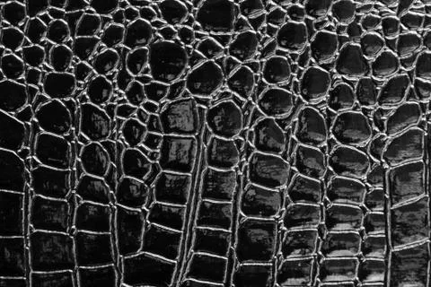 Crocodile leather Stock-Fotos