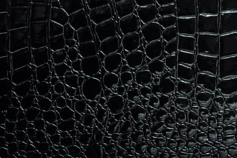 Crocodile leather Stock Photos