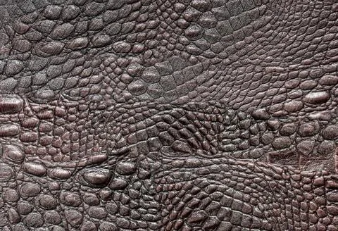Crocodile leather Stock Photos