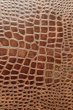Crocodile leather Stock Photos