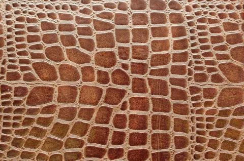 Crocodile leather Stock Photos