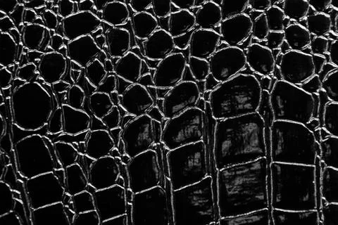 Crocodile leather Stock Photos