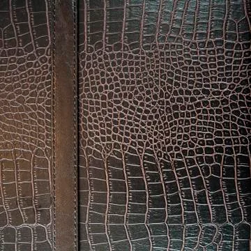 Crocodile leather texture background Stock Photos