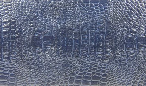 Crocodile leather texture Stock Photos