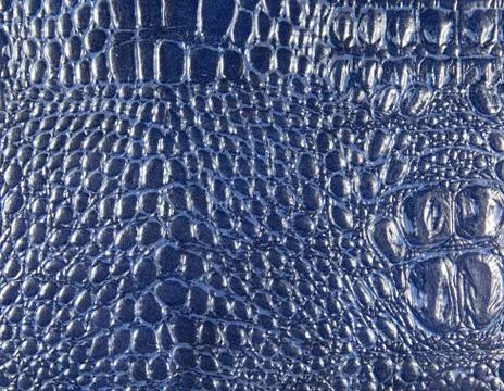 Crocodile leather texture Stock Photos