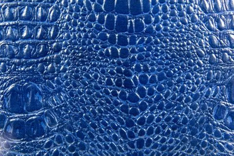 Crocodile leather texture Stock Photos