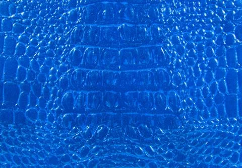 Crocodile leather texture Stock Photos
