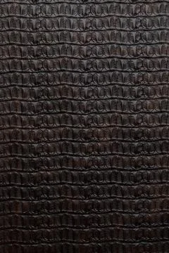 Crocodile leather texture Stock Photos