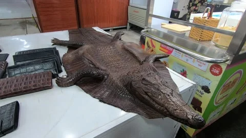 Crocodile leather, wallets on the market 스톡 동영상 154893582