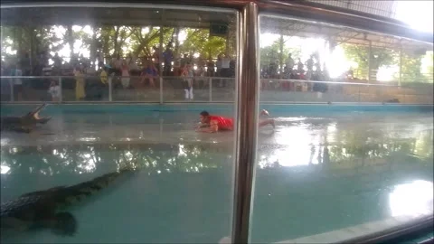 Crocodile man performs show at the Crocodile farm in Pattaya, Thailand. Stock Footage 131775895