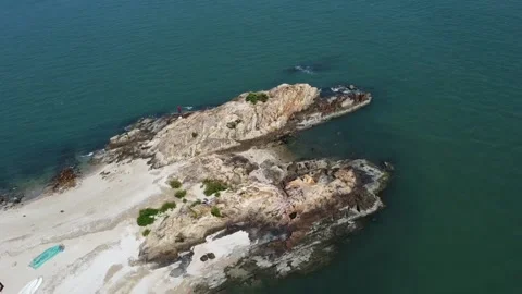 Crocodile peng chau Stock Footage 168720645