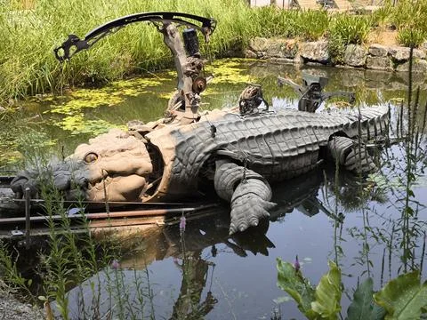 Crocodile Stock Photos