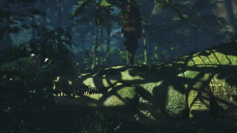 Crocodile resting in a dense jungle during a sunny afternoon Vidéo 308528864