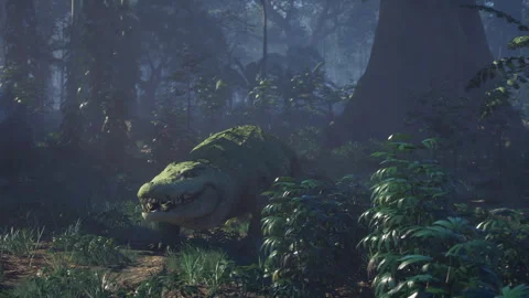 Crocodile resting in the dense rainforest under soft light Vidéo 304466471